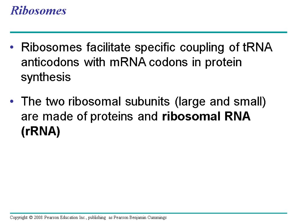 Ribosomes Ribosomes facilitate specific coupling of tRNA anticodons with mRNA codons in protein synthesis